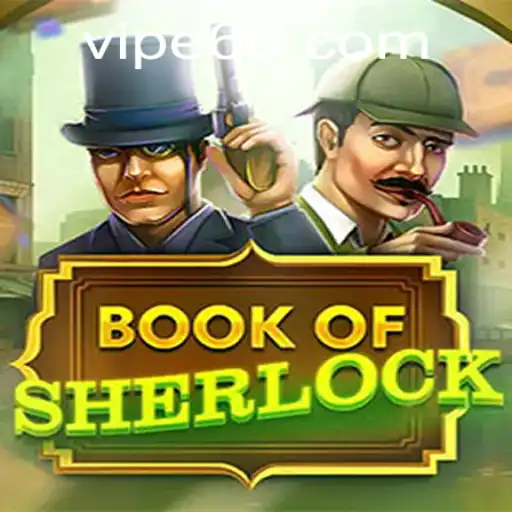 Unraveling Mysteries: Dive into BookOfSherlock with E66